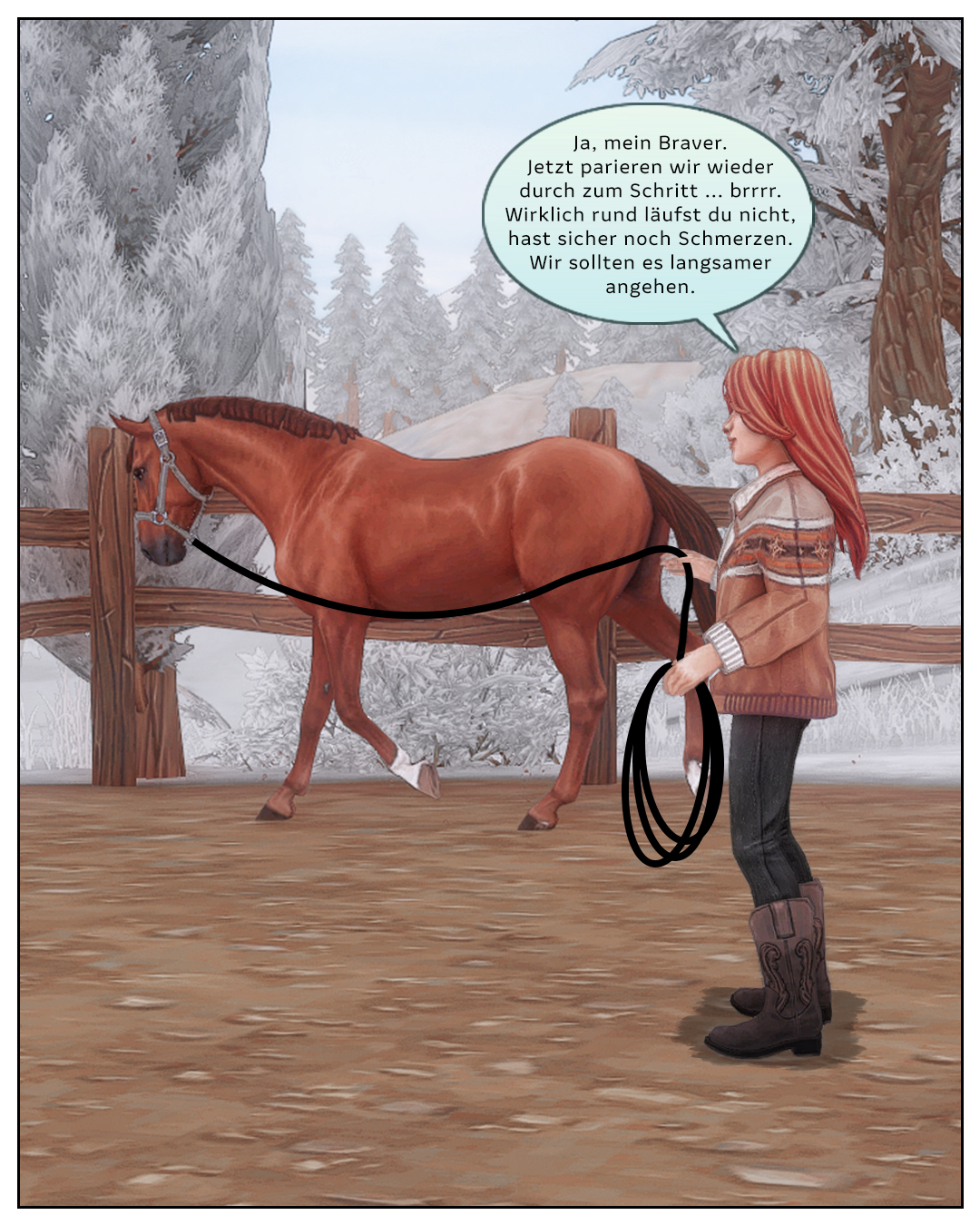 Ein tolles Freizeitpferd � Slide 6