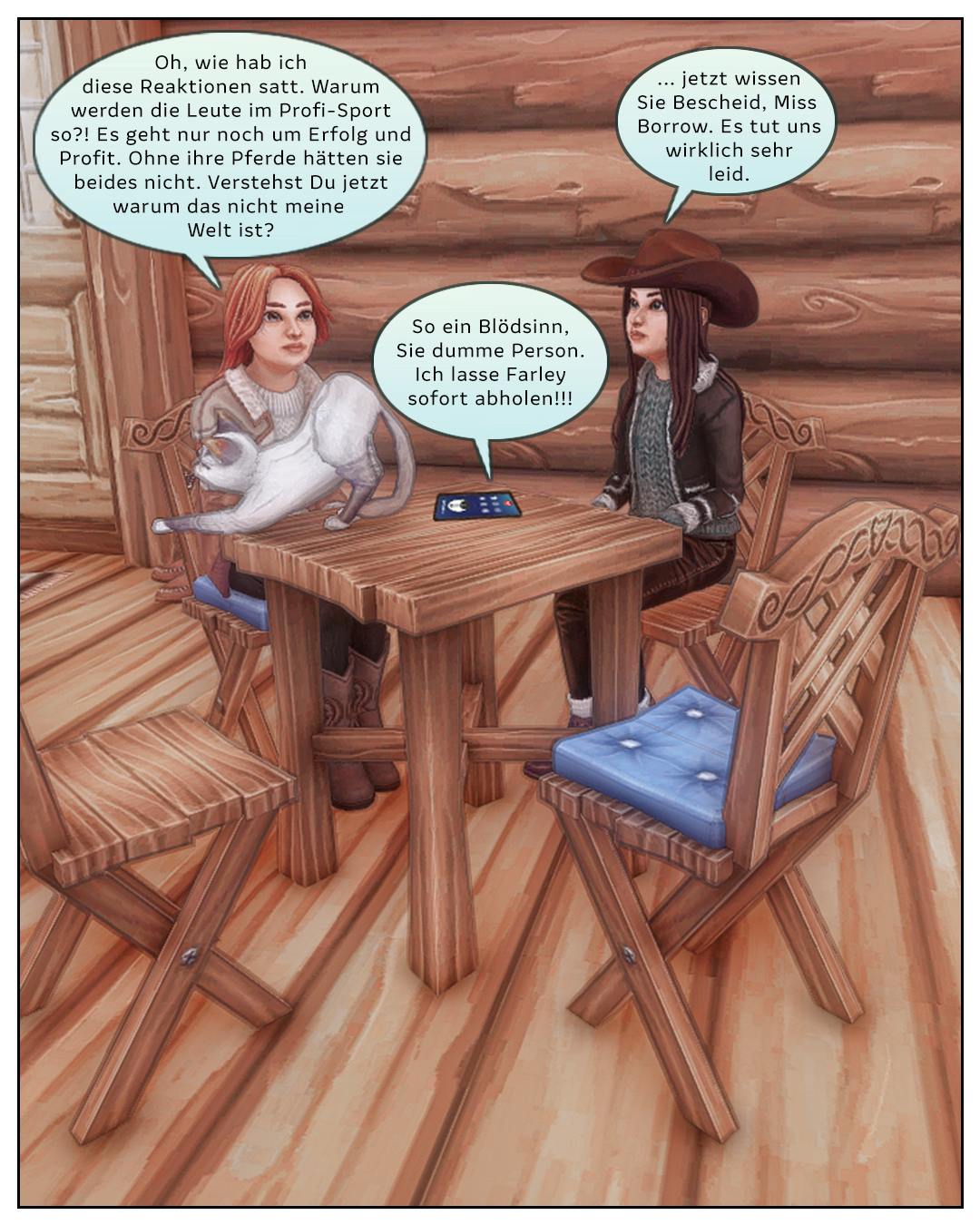 Ein tolles Freizeitpferd � Slide 8